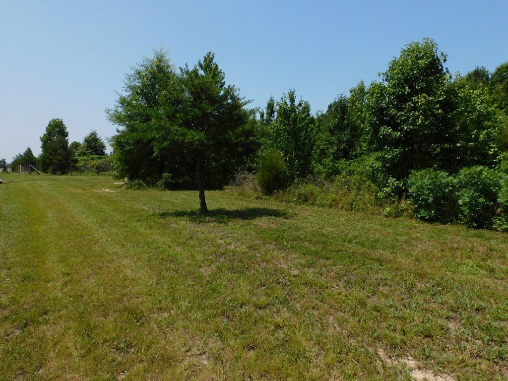 Picture 19