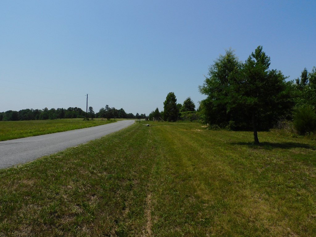 Picture 21
