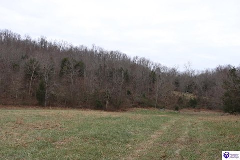 Recreational Hunting Land Tract