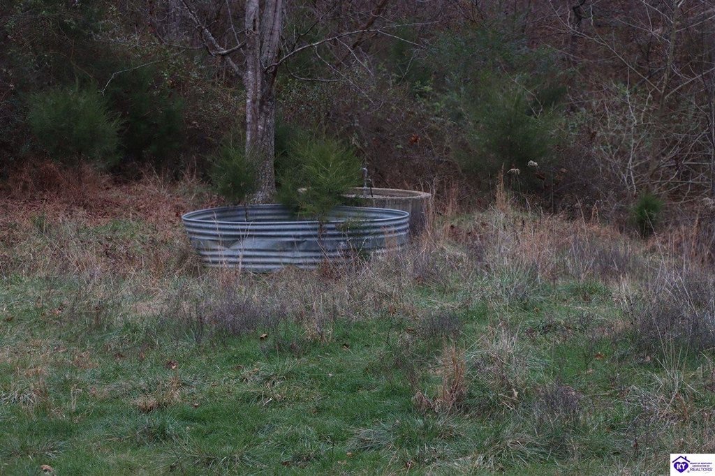 Picture 4