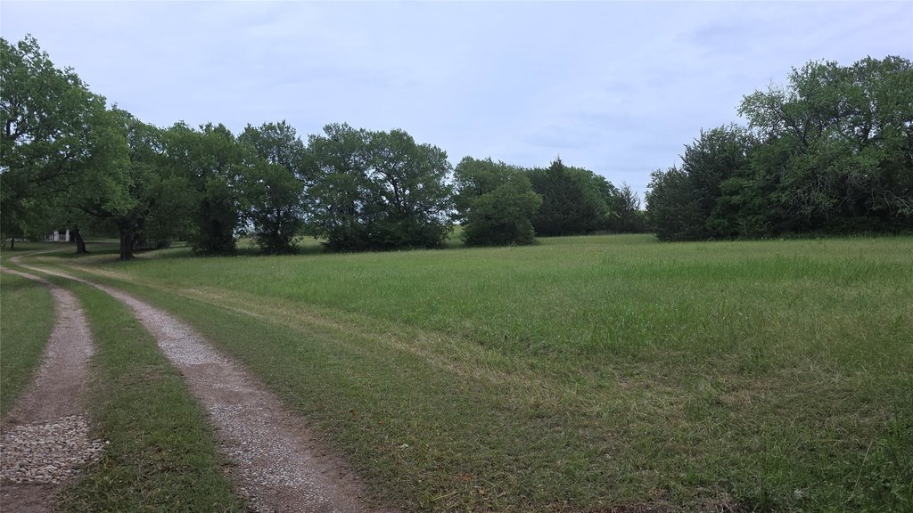 Picture 9