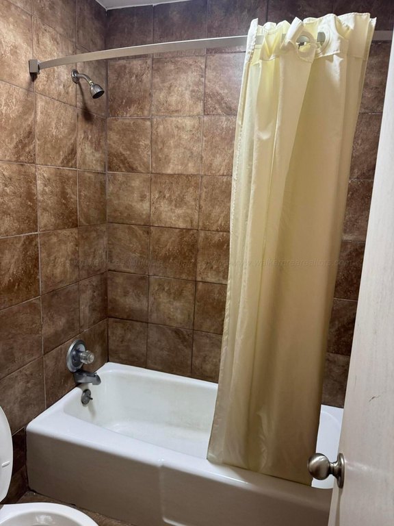 Picture 38
