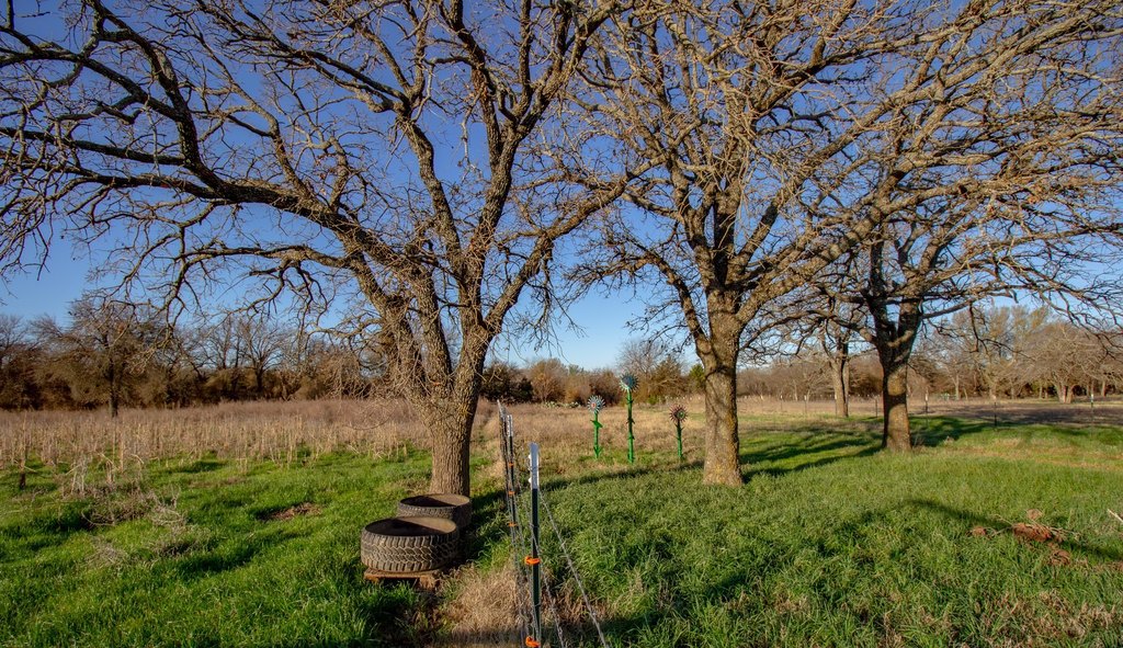 Picture 21