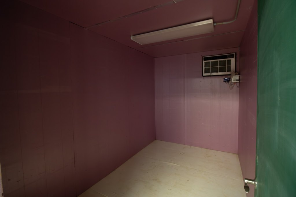 Picture 14
