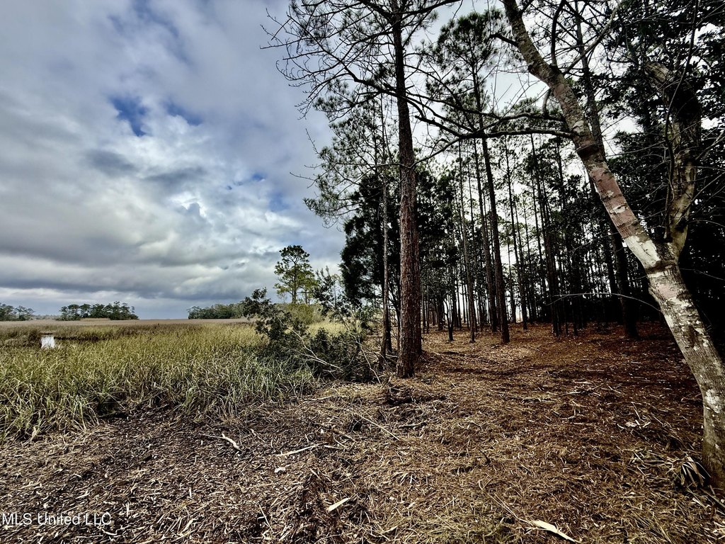 Picture 36