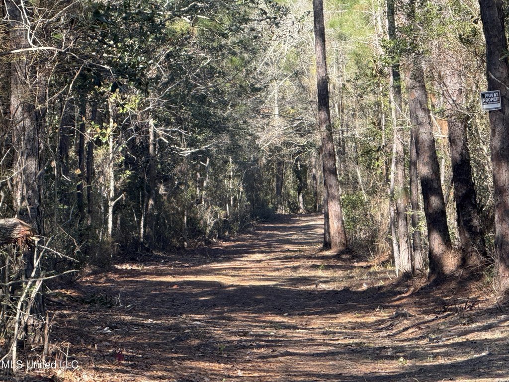 Picture 7