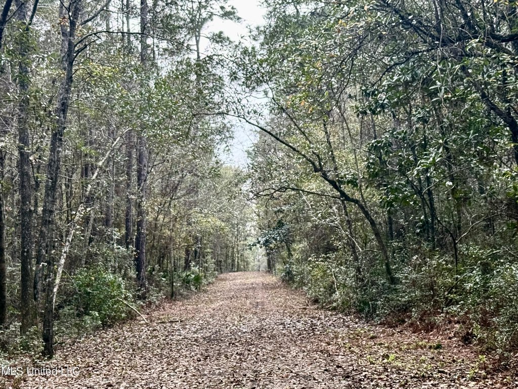 Picture 21