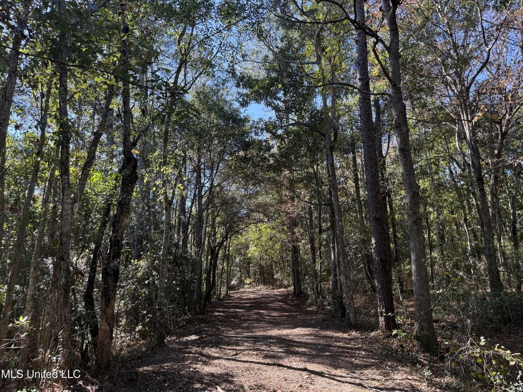 Picture 24