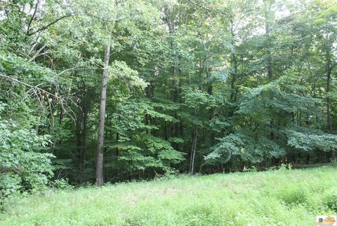 LAND - Lucas, KY