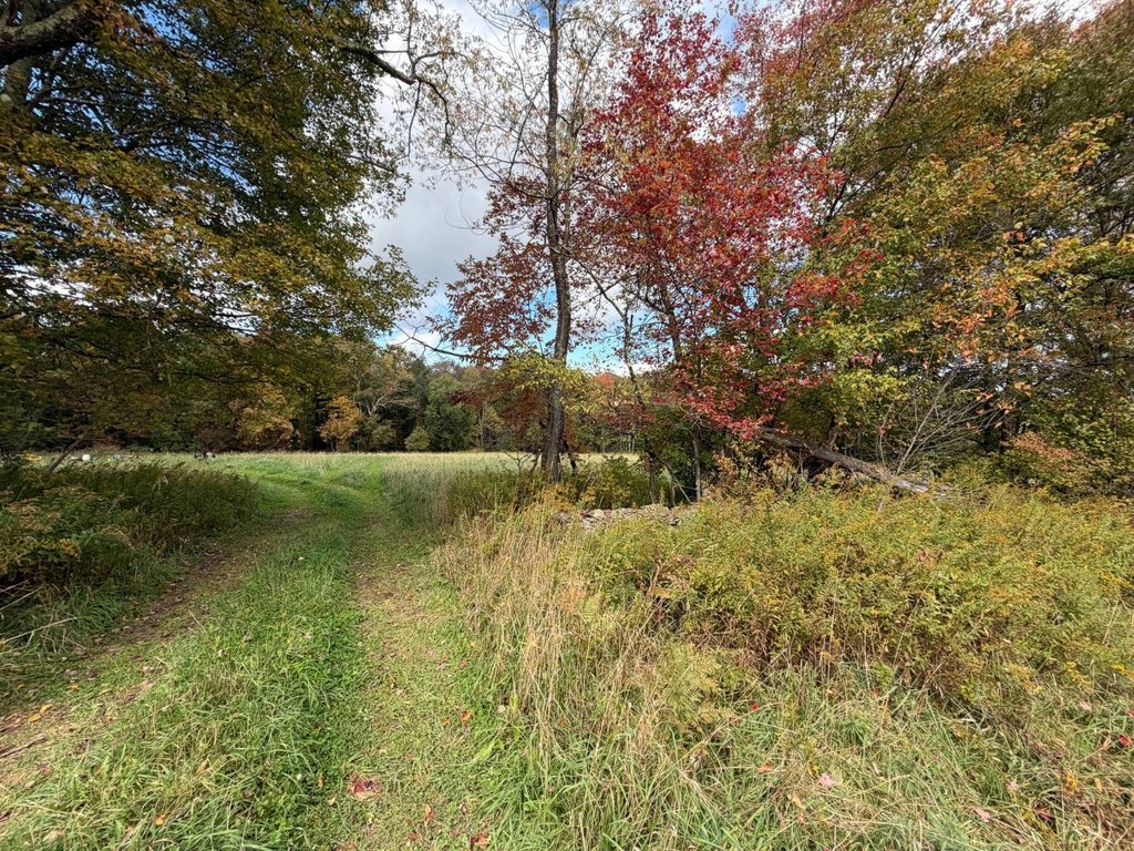 Picture 27