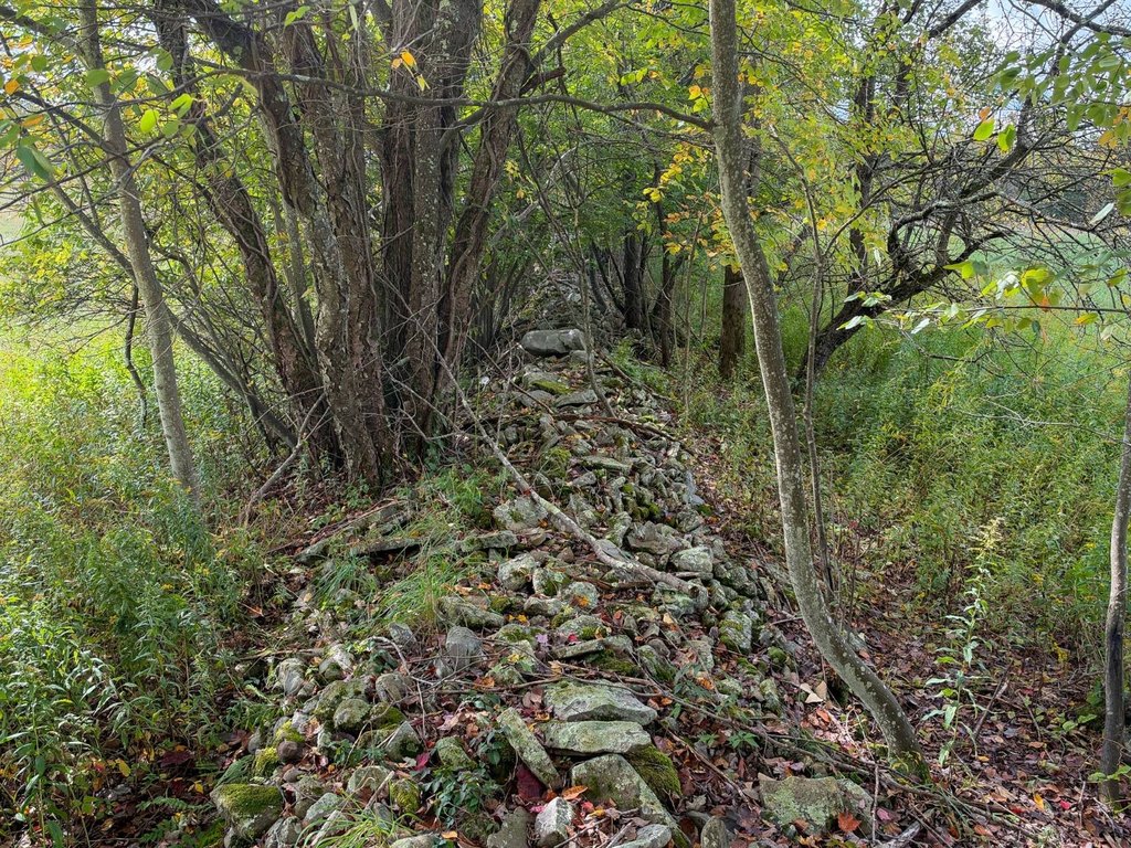 Picture 22
