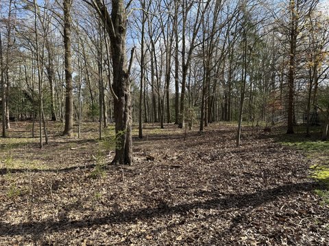 LAND - Harbert, MI