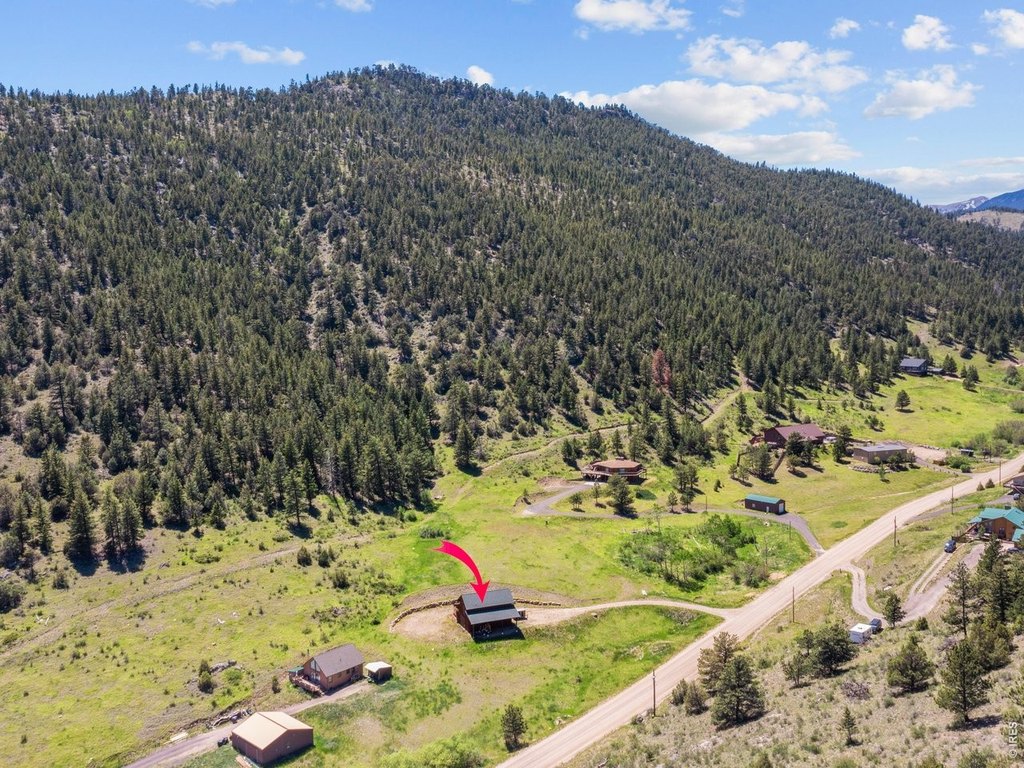 Picture 21