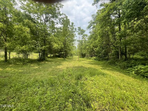 Unrestricted Land in Eidson, TN