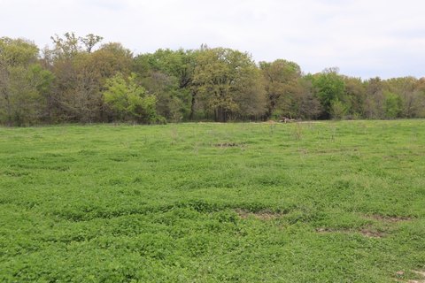 Ranch Land with Ponds