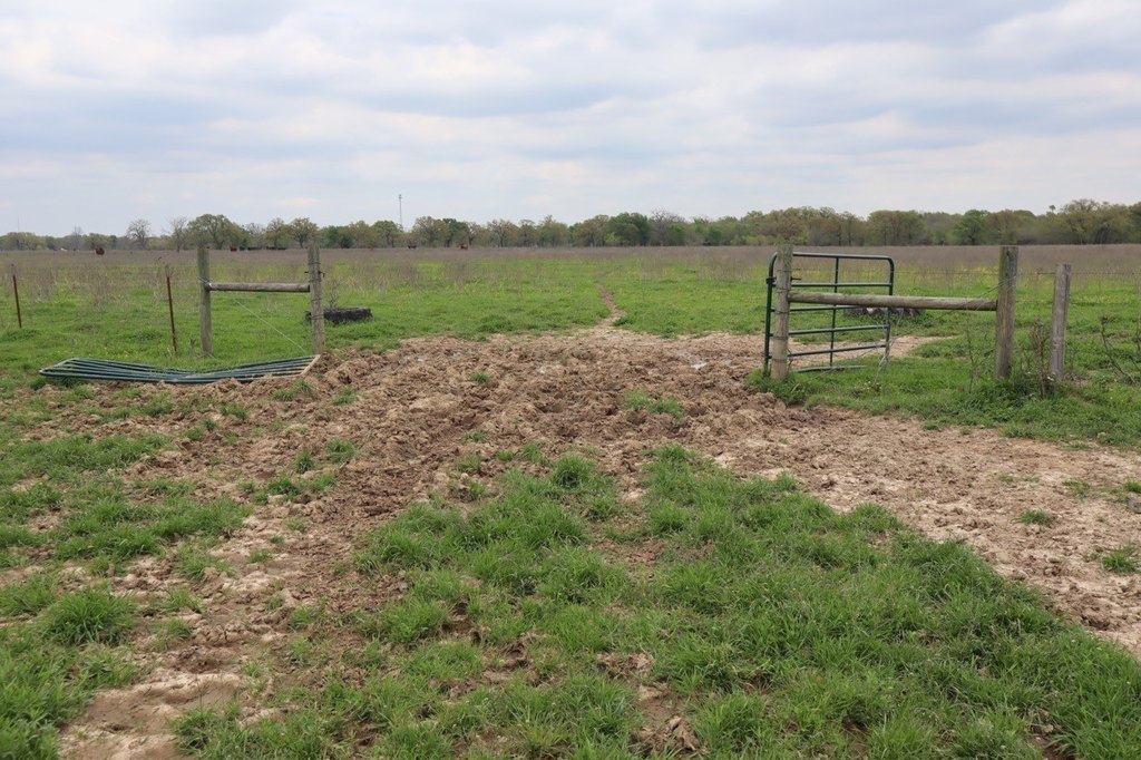 Picture 19