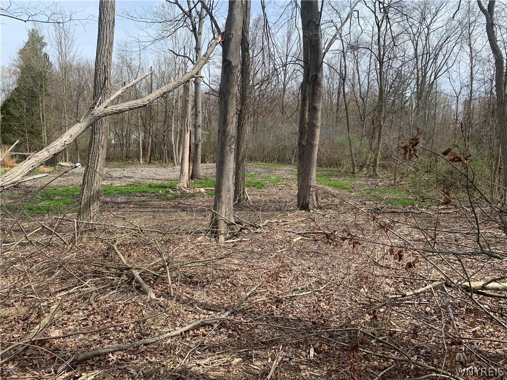 Picture 12