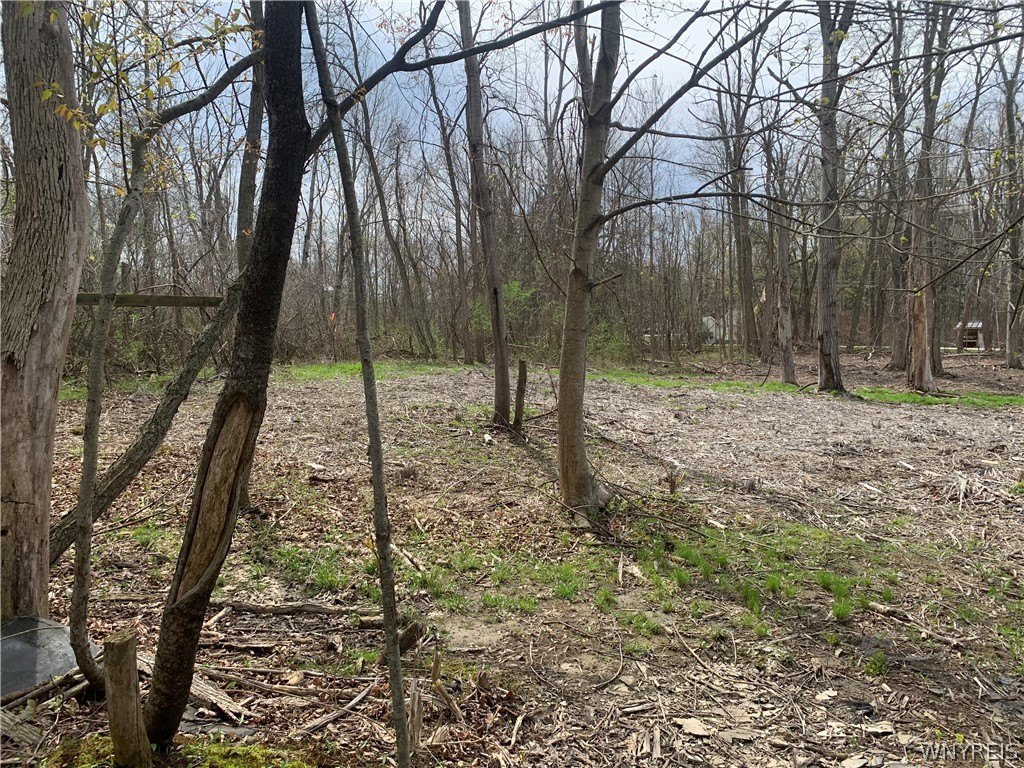 Picture 13