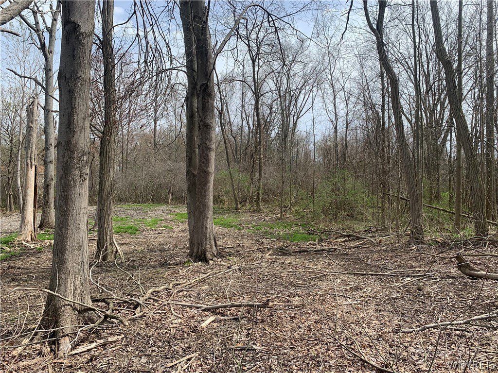 Picture 21