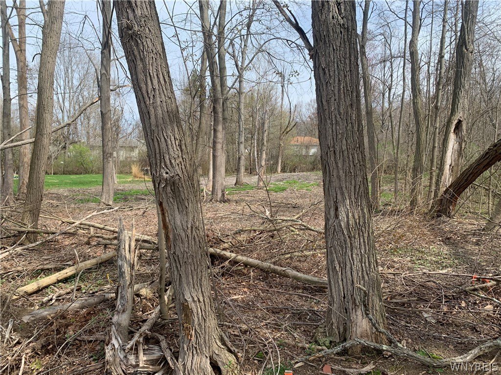 Picture 18