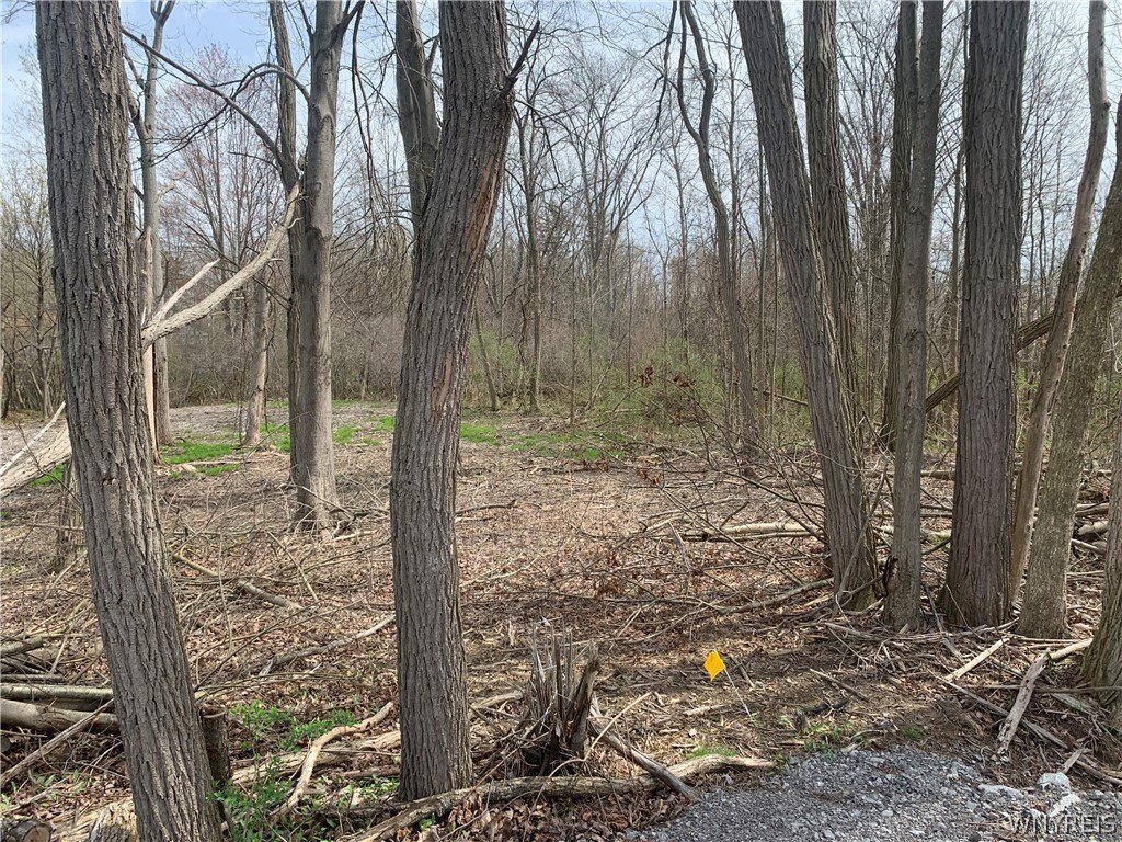 Picture 17