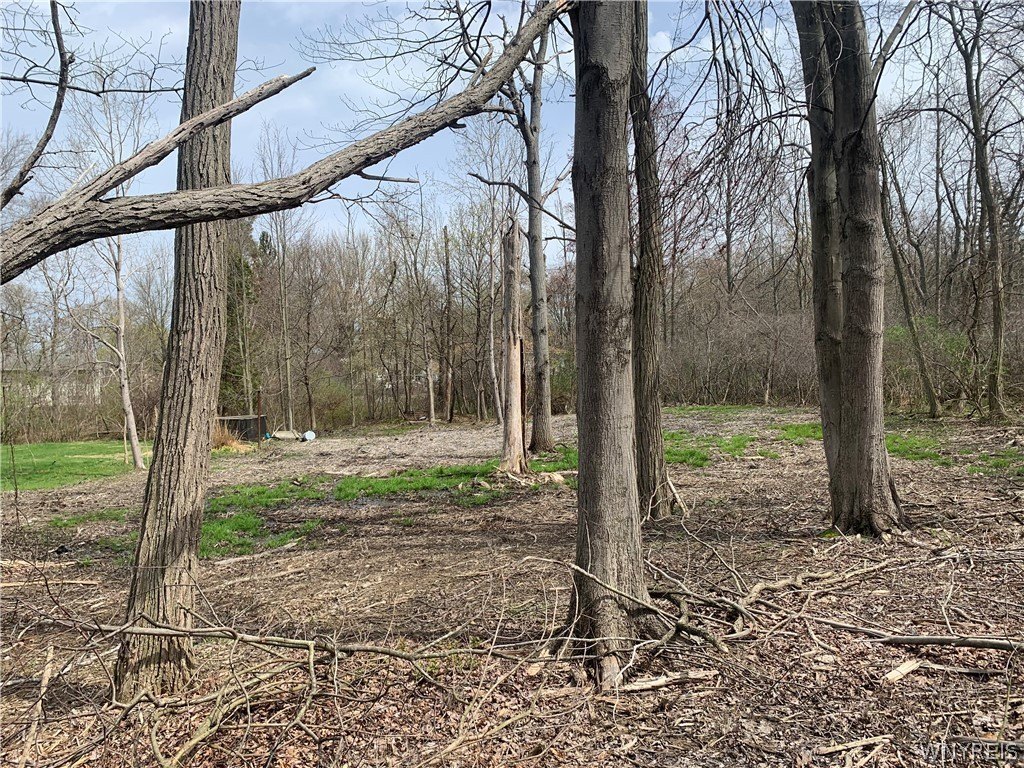 Picture 19