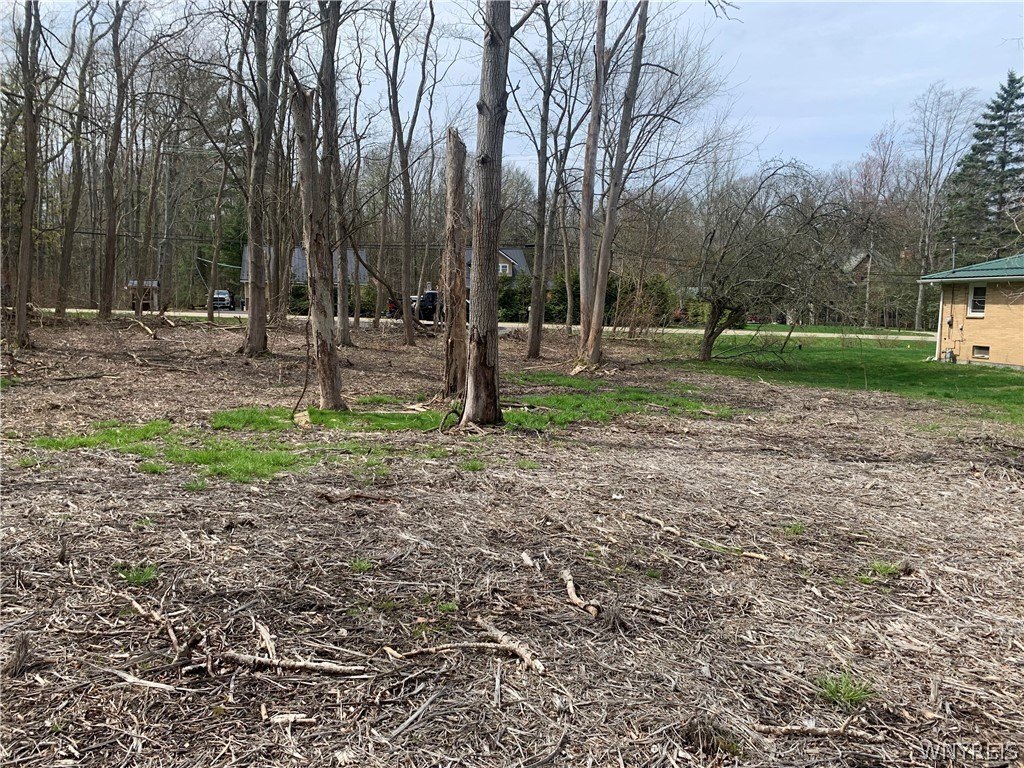 Picture 16