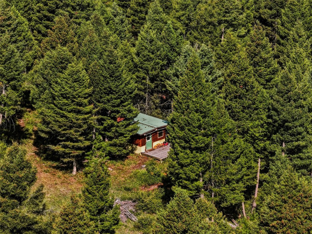 Picture 25