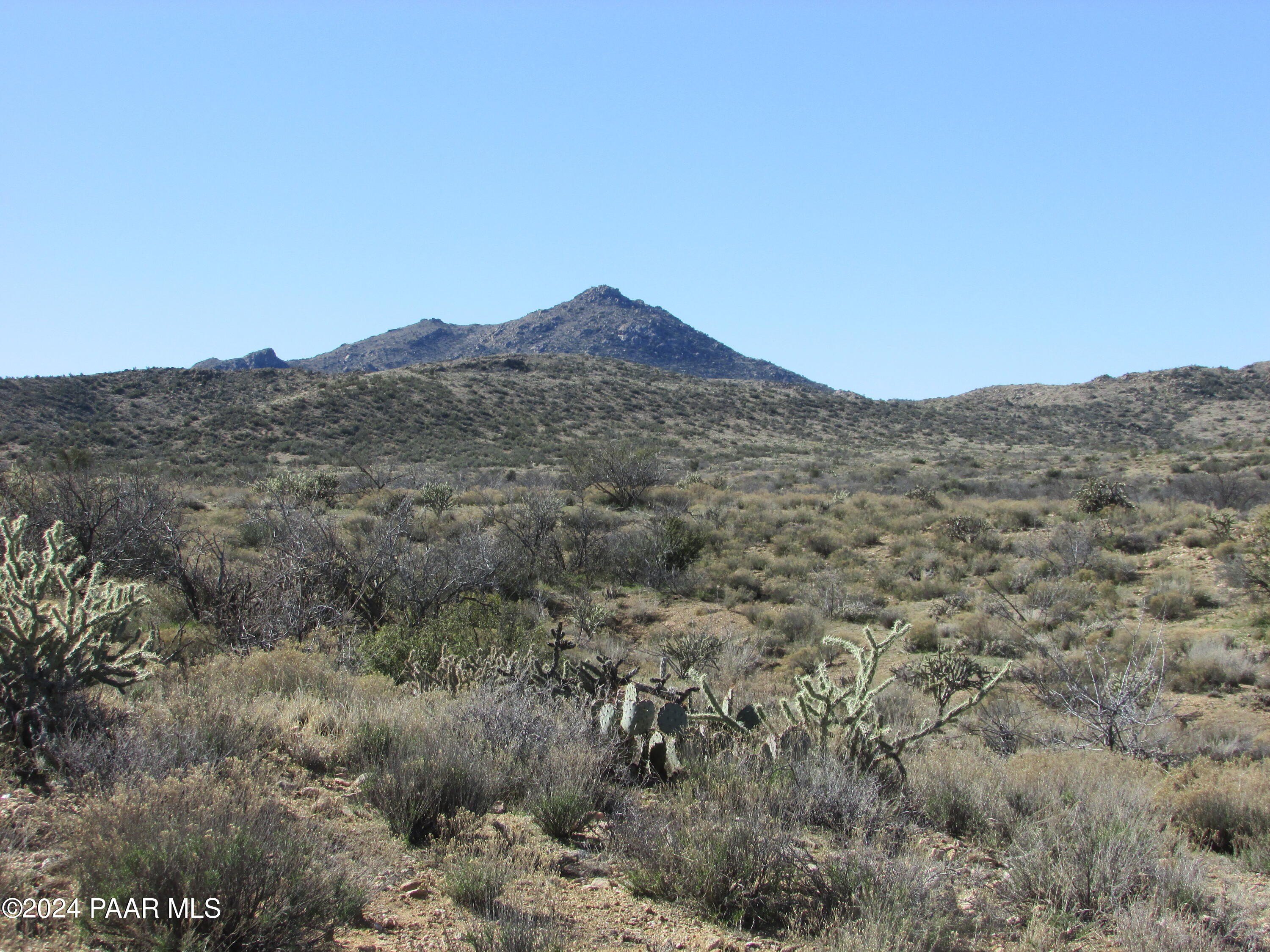 Pristine Desert Land For Sale
