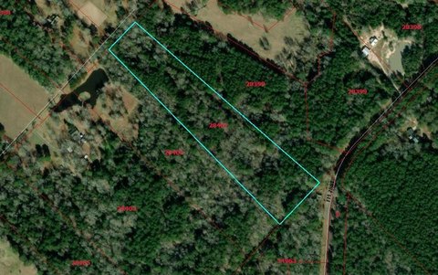 Huntington, TX Wooded Land Parcel