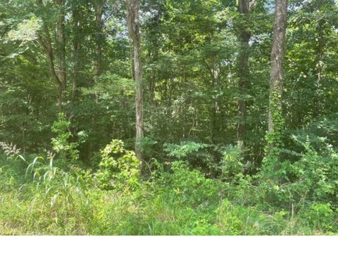 Residential Land in Strayhorn, MS