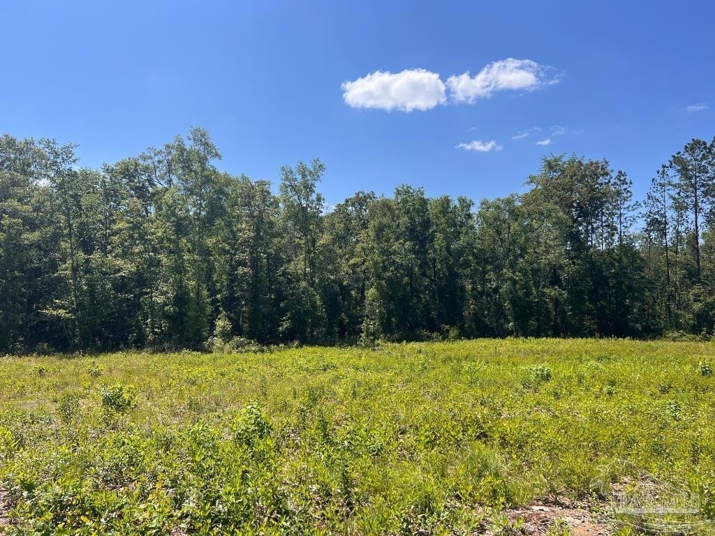 Molino, FL Acreage for Sale