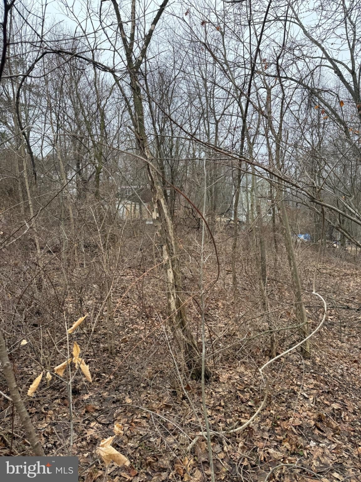 Land Portfolio in Northumberland County