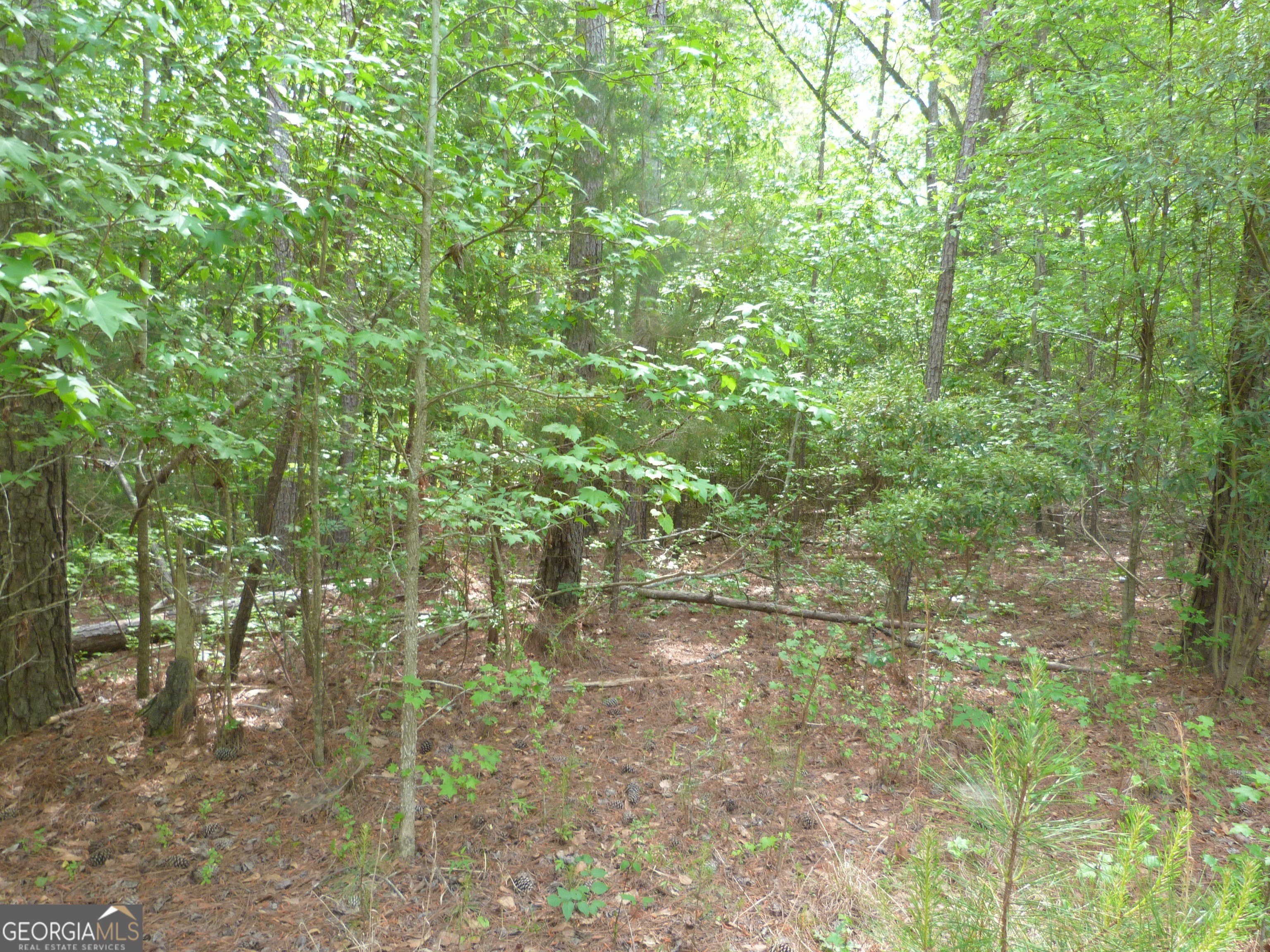 Appling, GA Wooded Lot