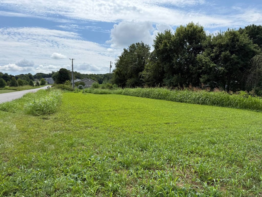 Picture 19
