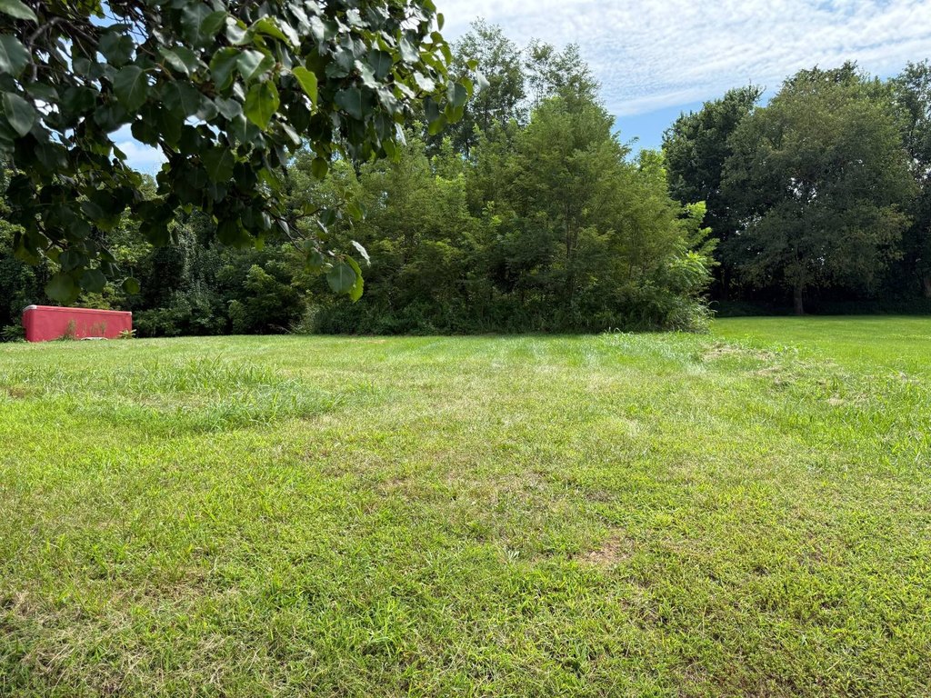 Picture 18