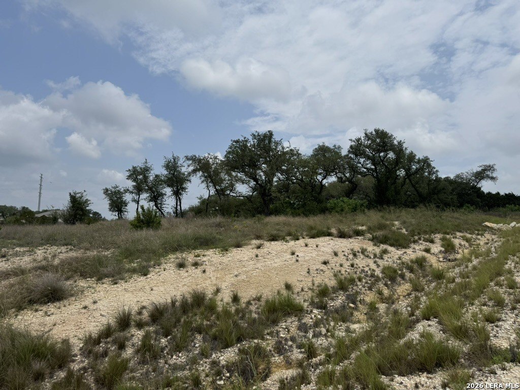 Picture 3
