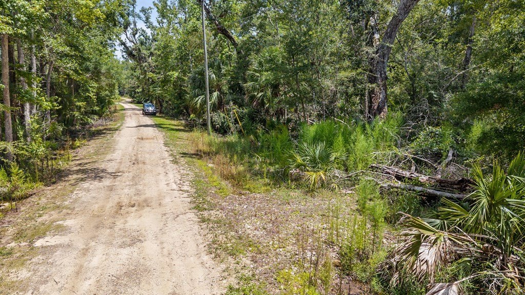 Picture 30