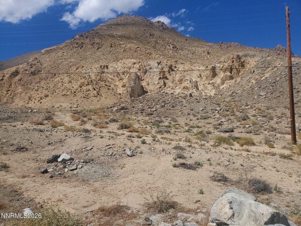Picture 4
