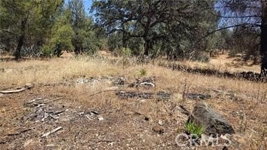 Vacant Land Parcel with ARMH Zoning