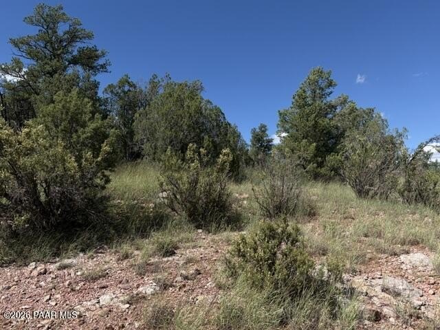 Picture 11