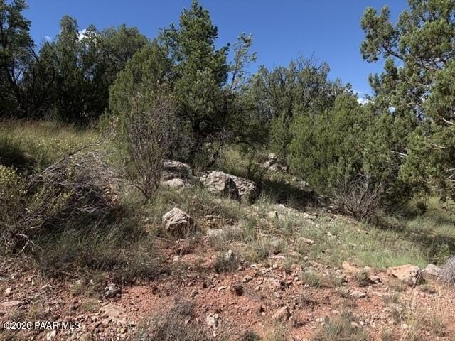 Picture 14