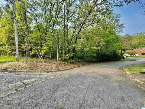 Residential Land in Established Neighborhood