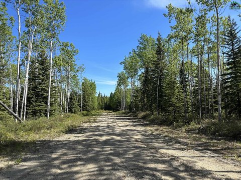 Land in Delta Junction, AK