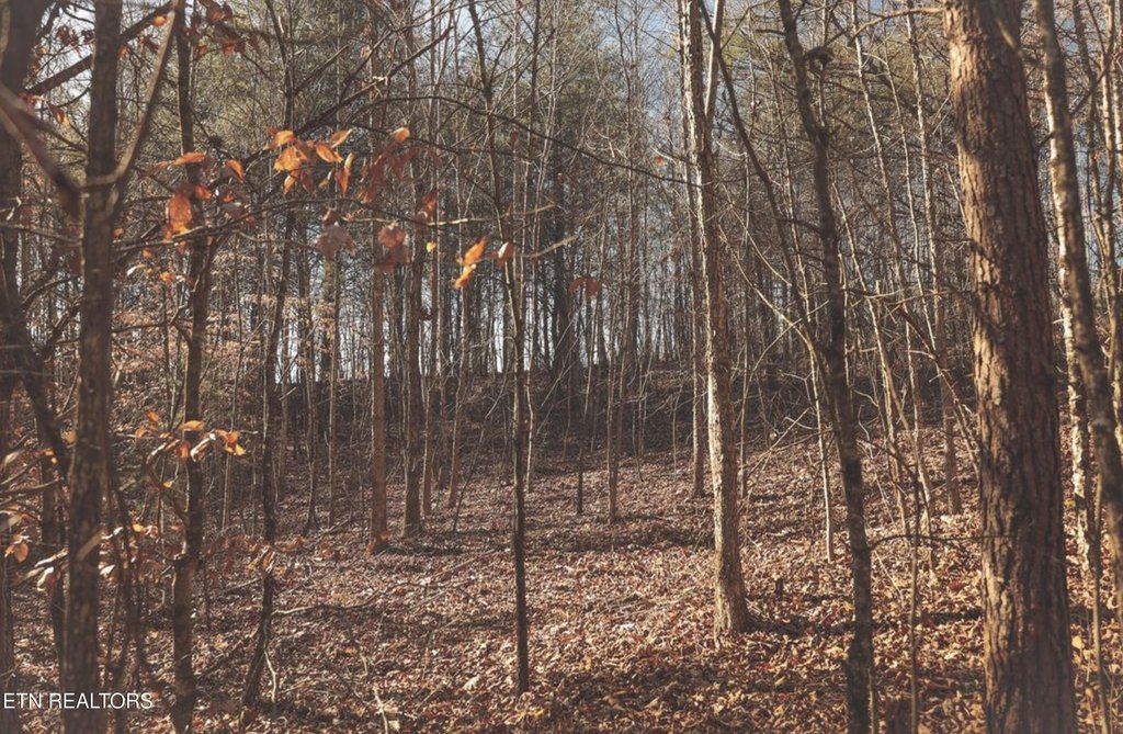 Picture 17