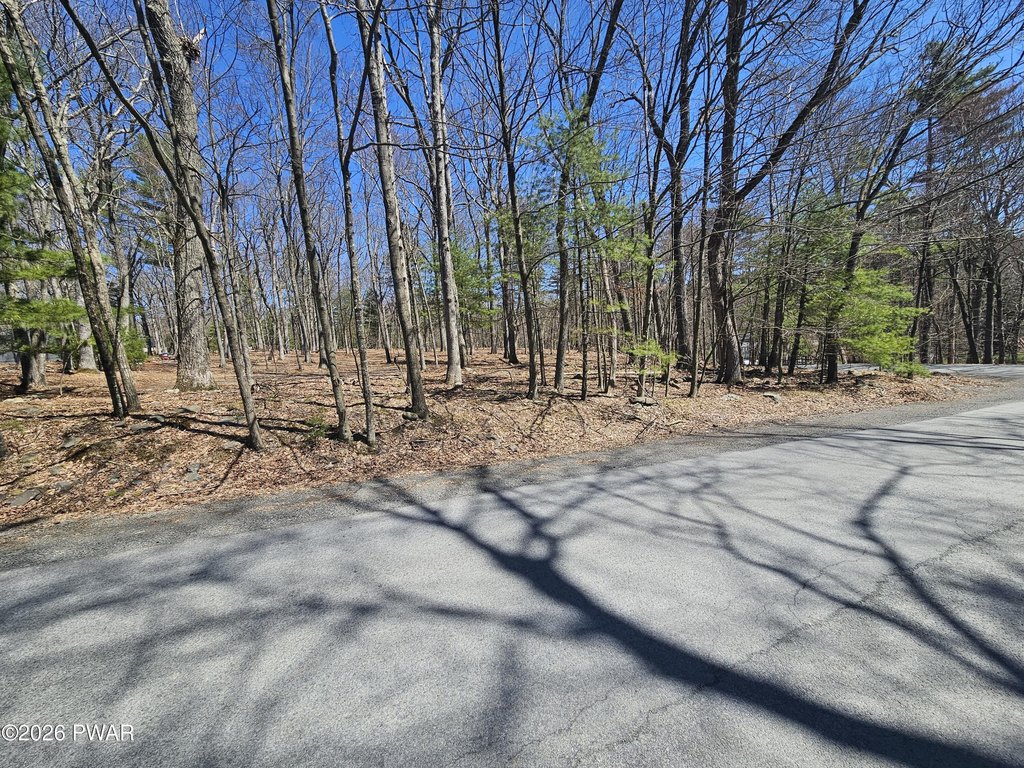Picture 9