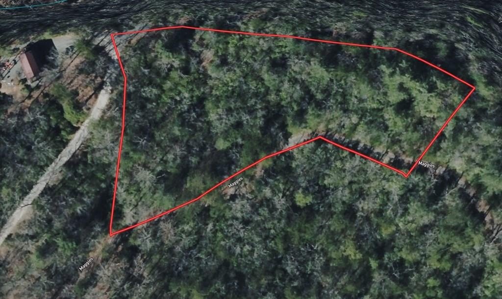 Wooded Lot Near Deep Creek