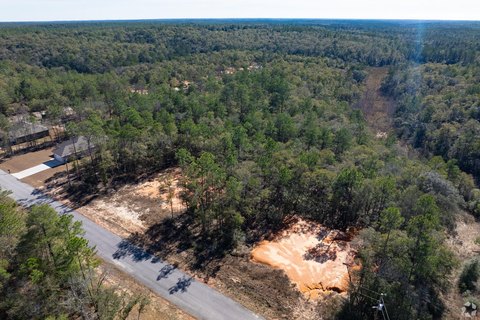 Cleared Acreage in DeFuniak Springs