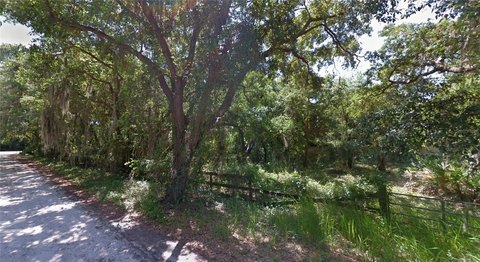 Residential Land Lot in Zolfo Springs