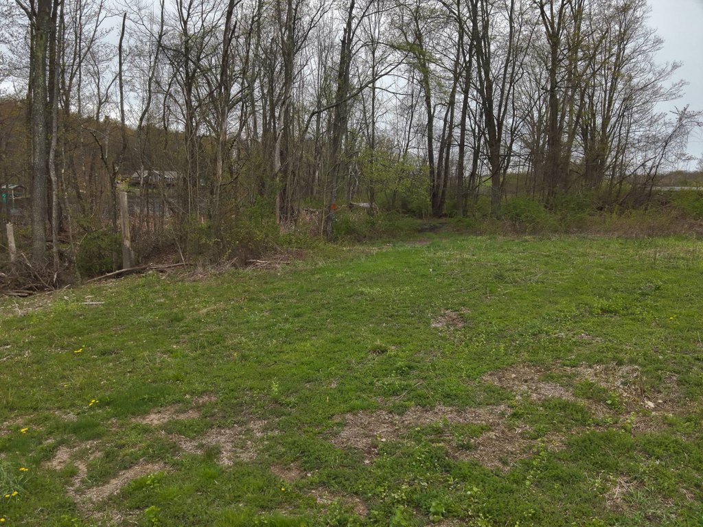 Picture 9